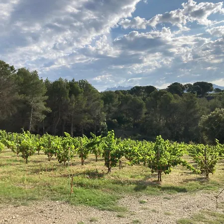 En Masia Robira Els Hostalets de Pierola